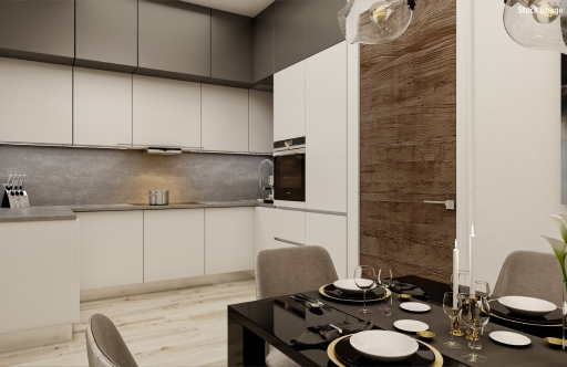 1 BHK Kitchen
